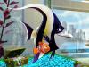 finding nemo wallpaper 8